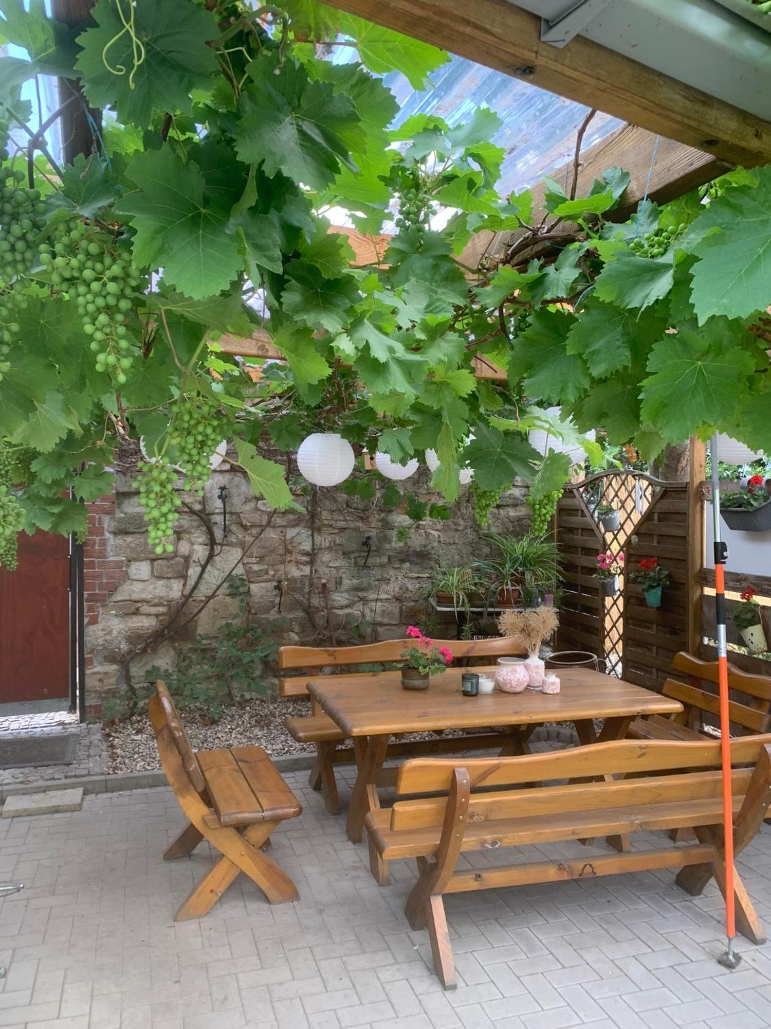 Pension Am Werder Bernburg Exteriér fotografie
